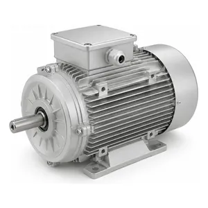 Motor de indução trifásico